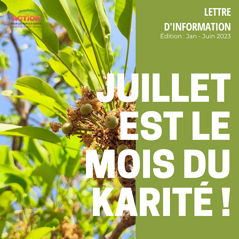 JUILLET EST LE MOIS DU KARITÉ !